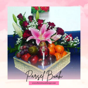 Parsel Buah