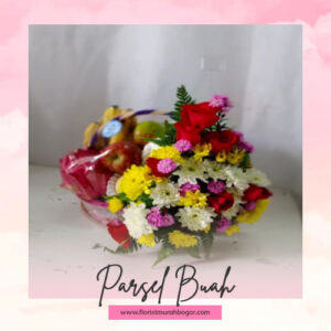 Parsel Buah